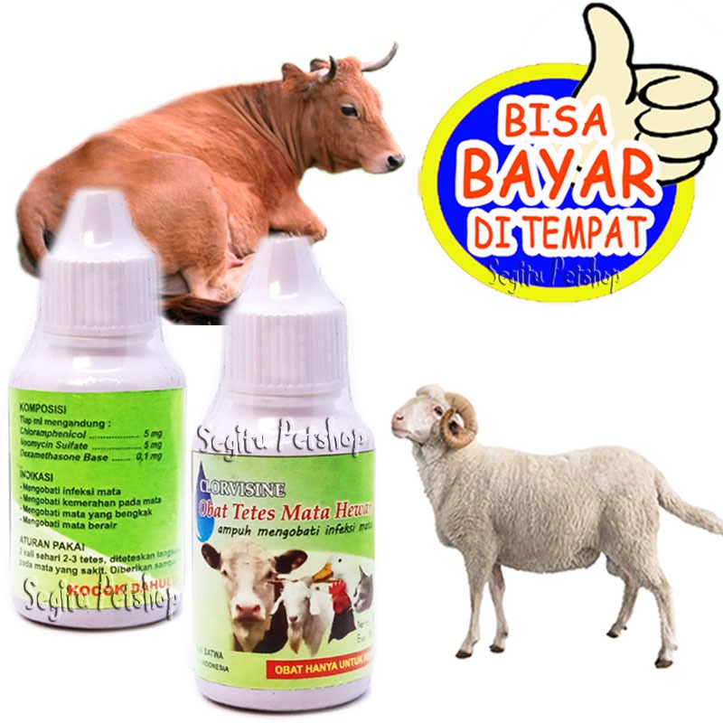 Obat Mata Sapi Kambing Penghilang Sakit Bengkak Infeksi Clorvisine