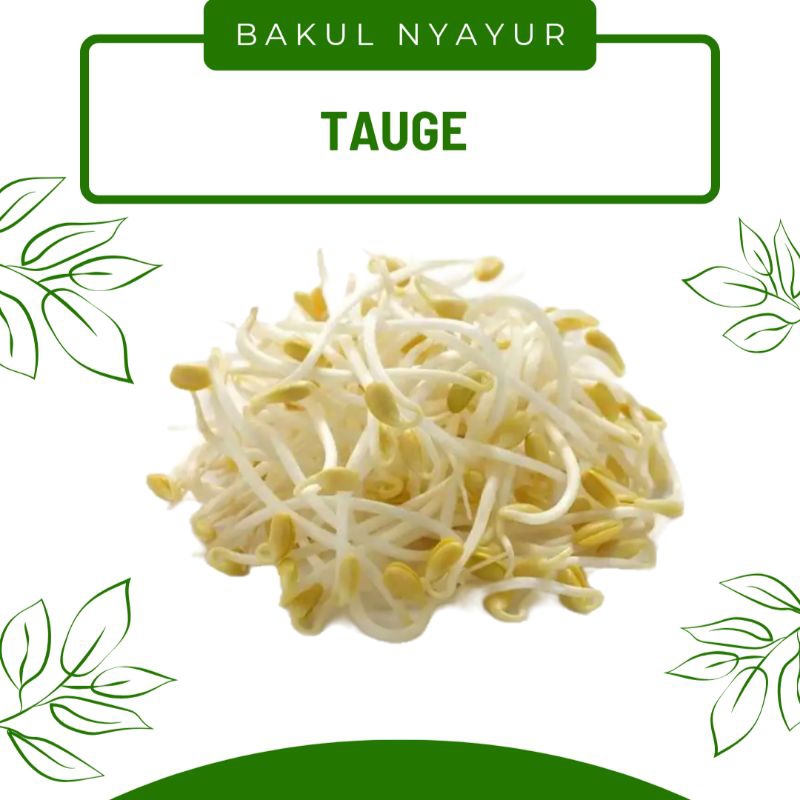 

Toge / Tauge
