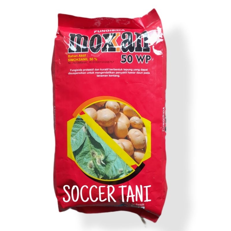 MOXAN 500 GR FUNGISIDA SIMOKSANIL