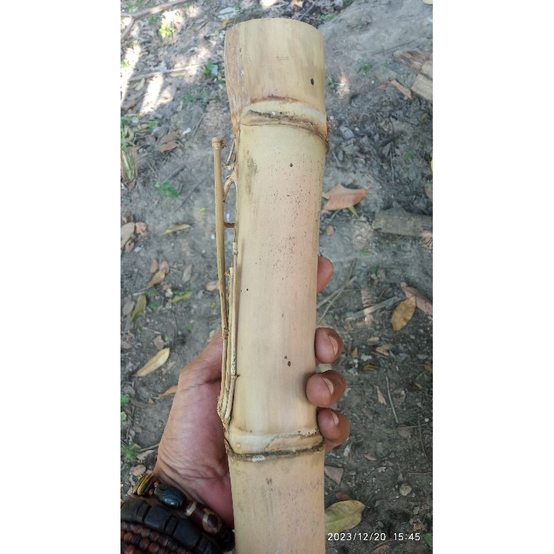 Bambu Unik Petuk Jalu