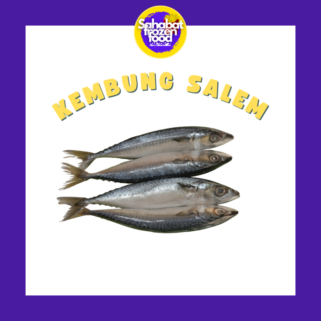 

Ikan Kembung Salem / Ikan Segar