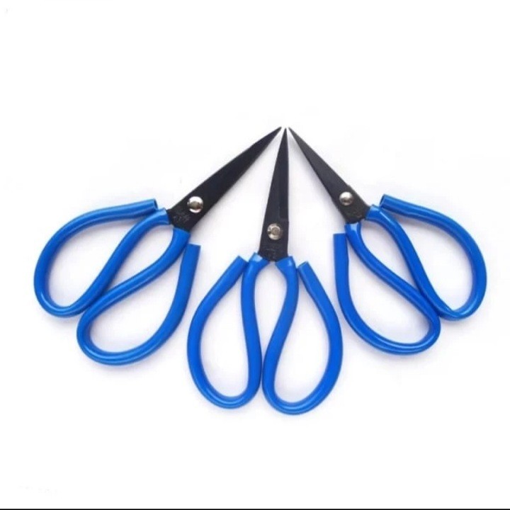 

Gunting Kain Gunting Kodok Gunting Seng