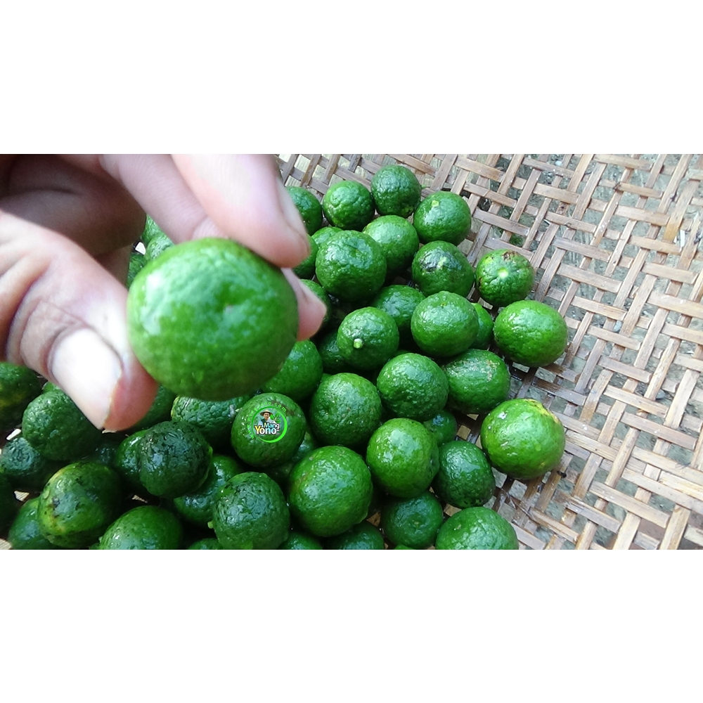 

Jeruk Limo 1 kg. Selalu segar karena langsung petik di pohon