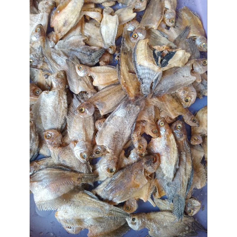 

ikan asin sepat kecil