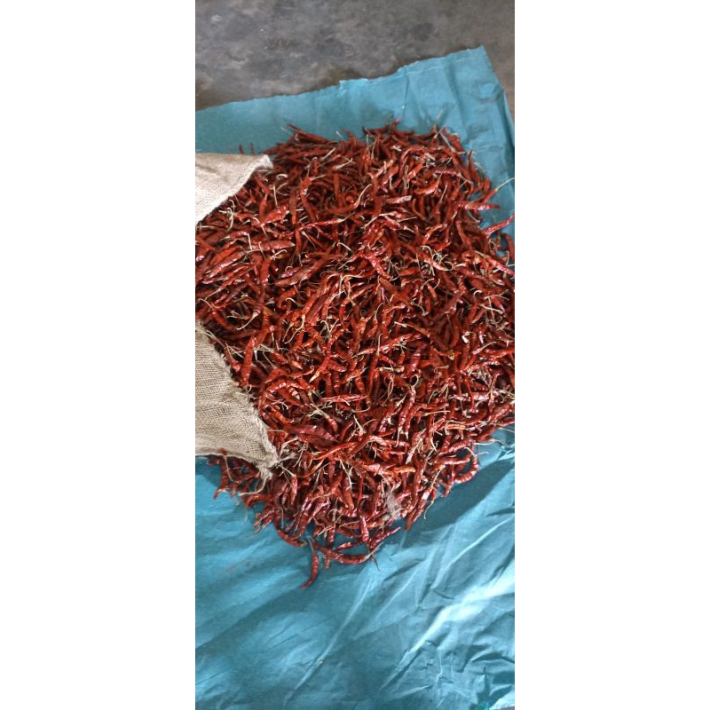 

Cabe rawit kering/cabe teja kering