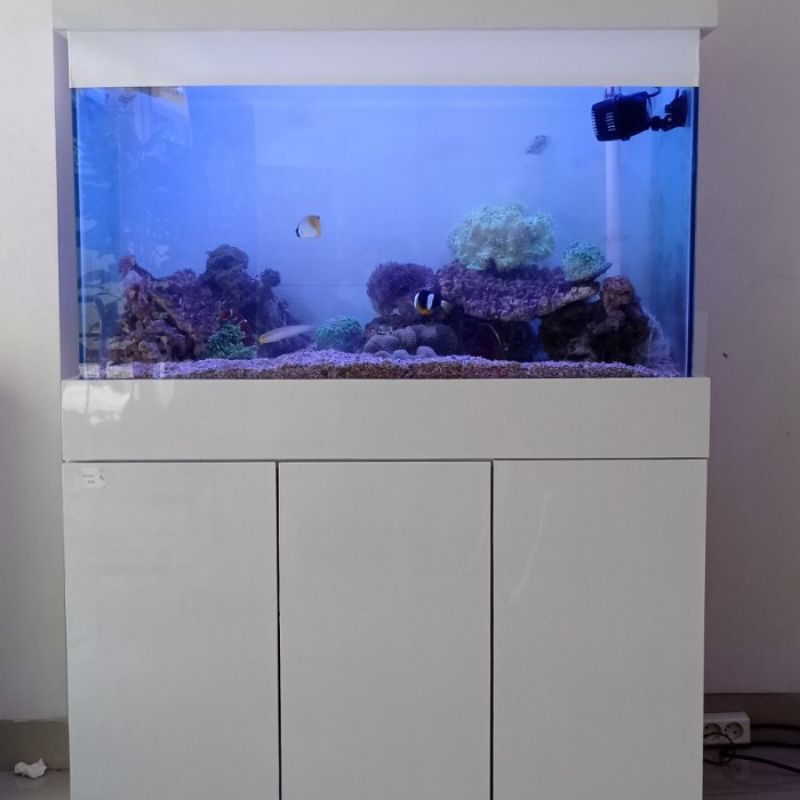 Aquarium Fullset Cabinet/Meja 100cm