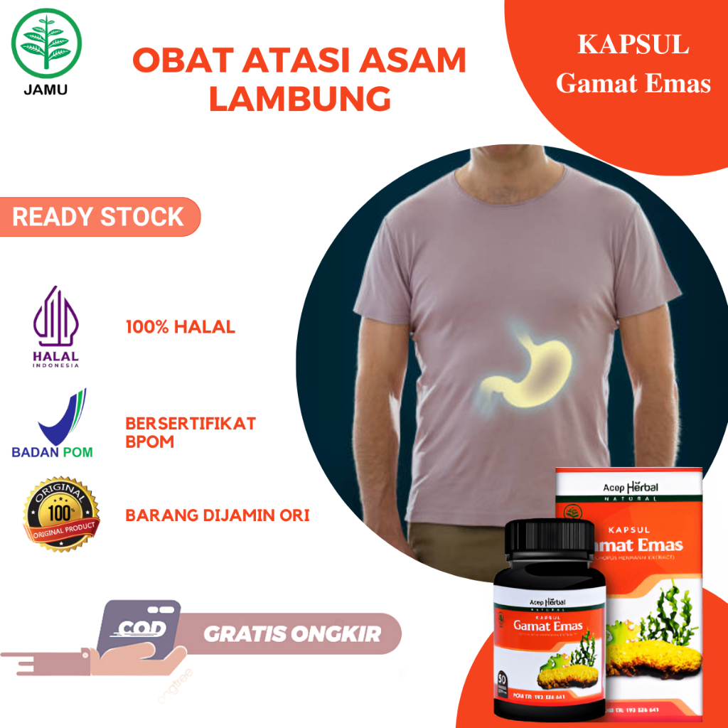 Obat Asam Lambung Gerd Maag Kronis Tukak Lambung Sakit Perut Kembung Begah Mual Kapsul Gamat Emas Is