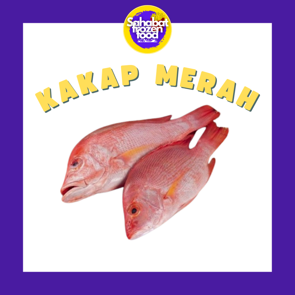 

Ikan Kakap Merah Segar