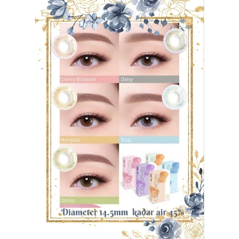 SOFTLENS COLORTHIN BY EXOTICON KHUSUS NORMAL