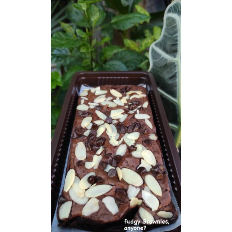 

fudgy Brownies 20x10