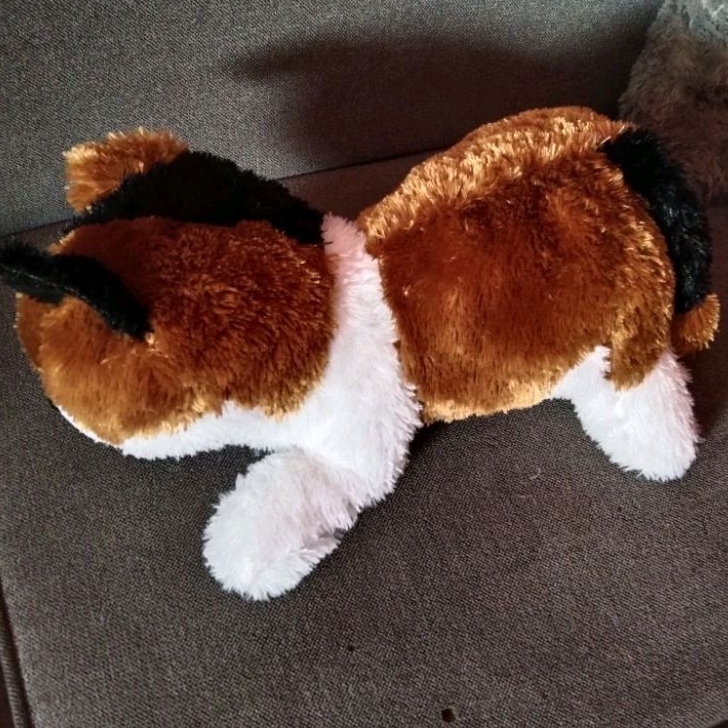 BONEKA KUCING BELANG CAT DOLL ANGGORA PERSIA KARAKTER BINATANG EDUKASI MAINAN DOLLS TOYS TERLARIS LA