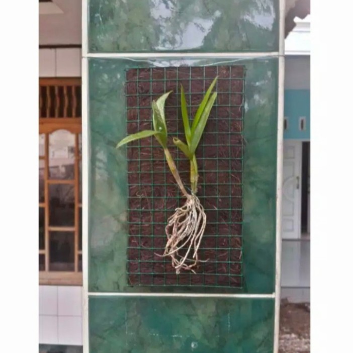 TERMURAH.. pot media tempel anggrek ijuk hitam pengganti pakis