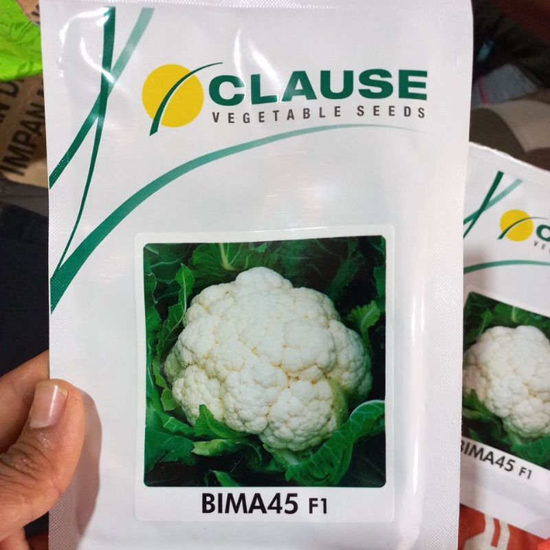 benih bunga kol bima45 f1 10 gram