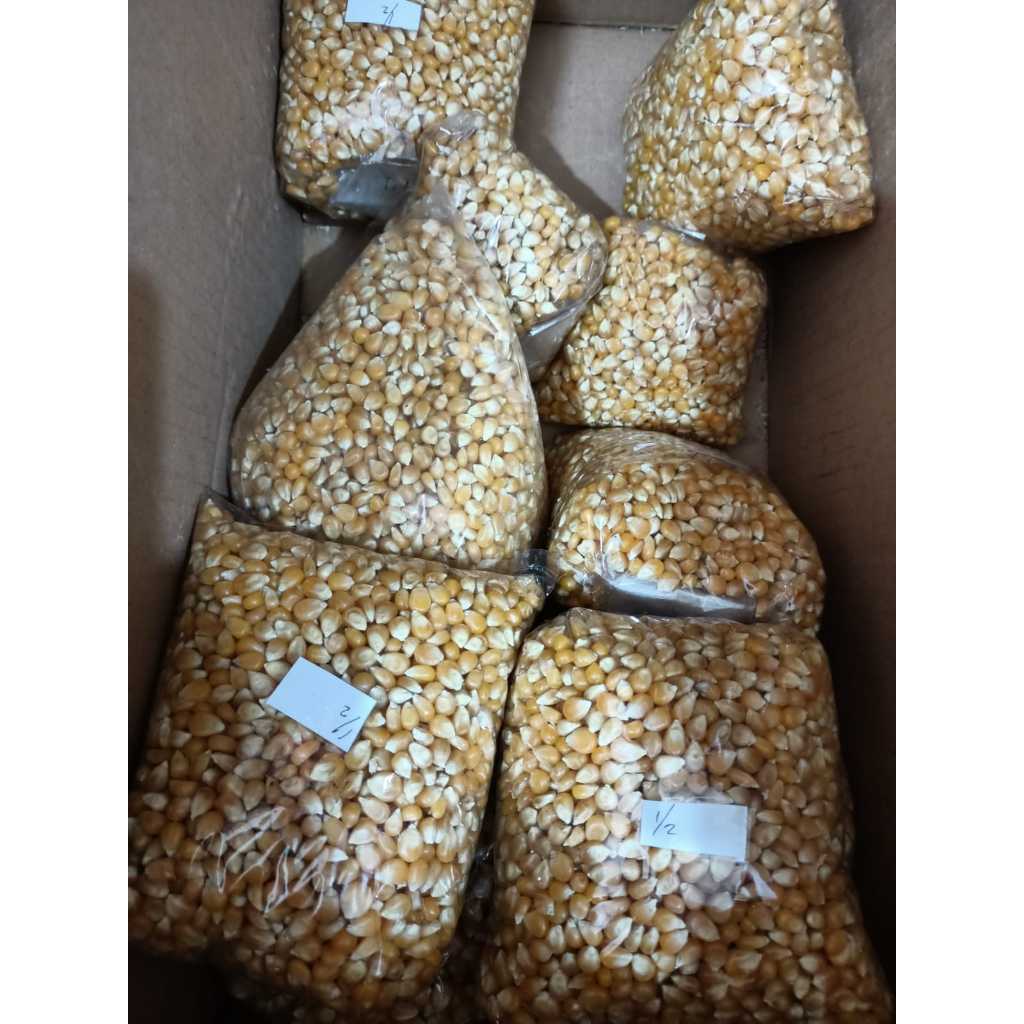 

Jagung Popcorn mentah 1kg