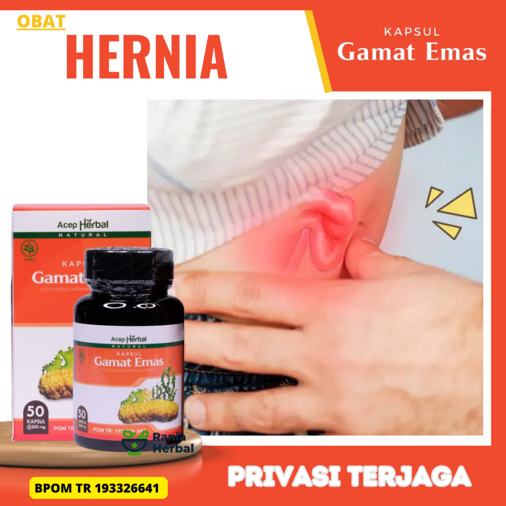 Obat Hernia, Obat Turun Berok, Obat Usus Menonjol, Obat Hernia Inguinalis, Obat Benjolan Perut Herni