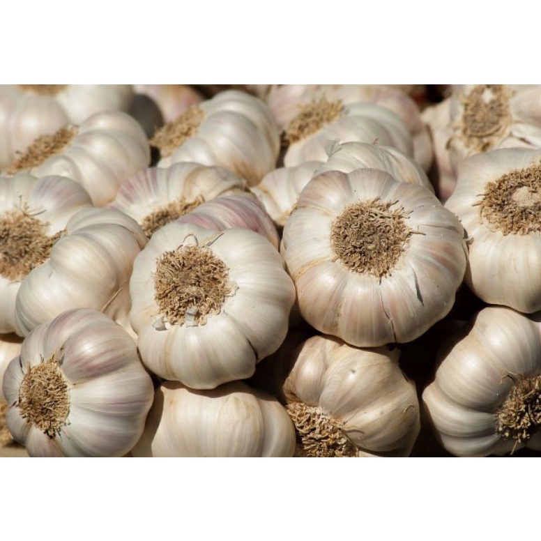 

MURAH LEBAY BAWANG PUTIH HONAM FRESH