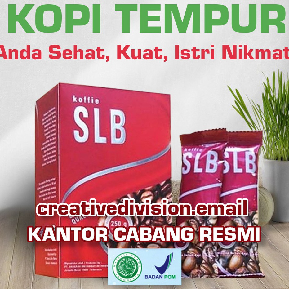 

99 BRANDS FESTIVAL KOPI SLB KOFFIE SLB 1 Box