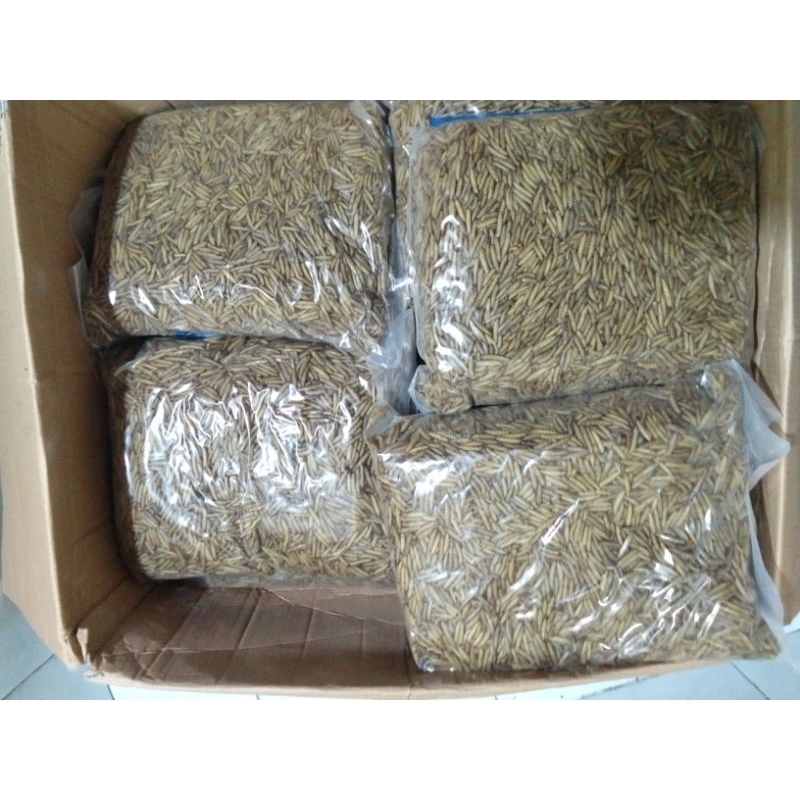 Maggot kering 1kg/Magot kering Bsf/Maggot pakan canna/Maggot pakan predator