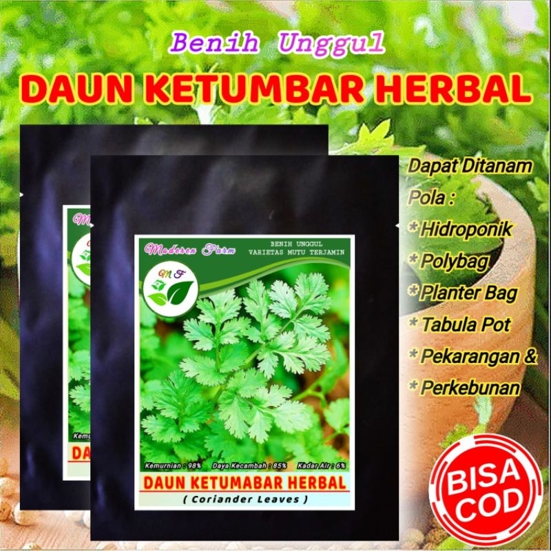 BENIH KETUMBAR HERBAL