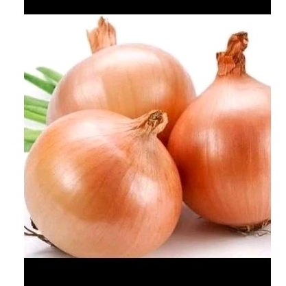 

bawang bombay 1 butir