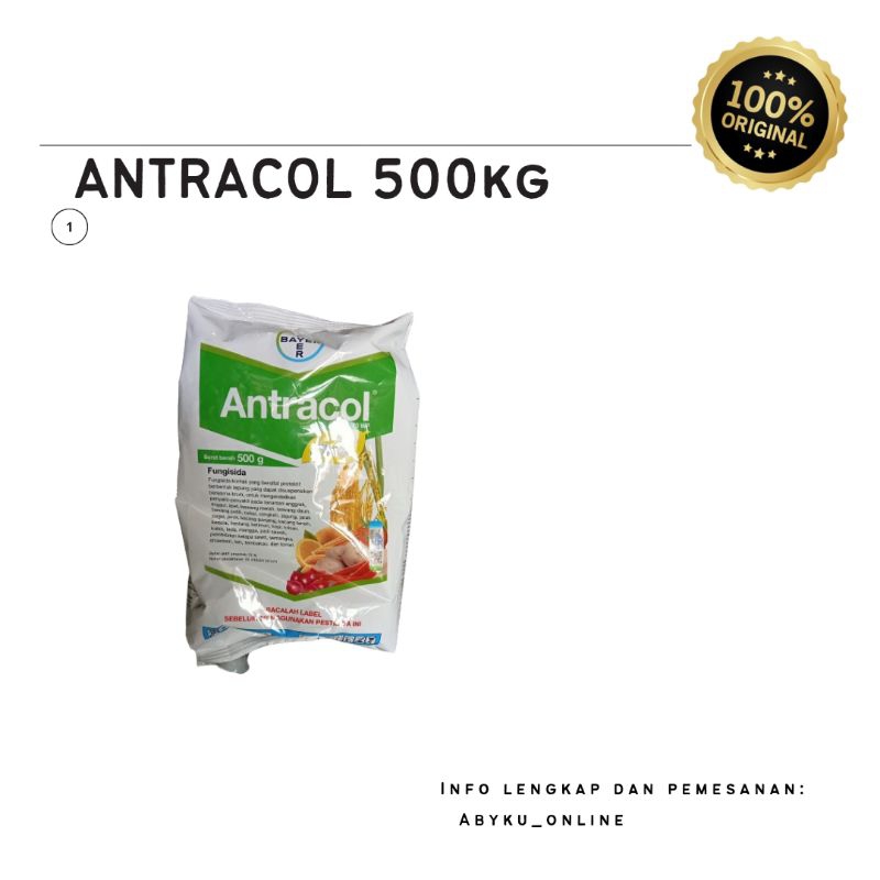 ANTRACOL 500GR