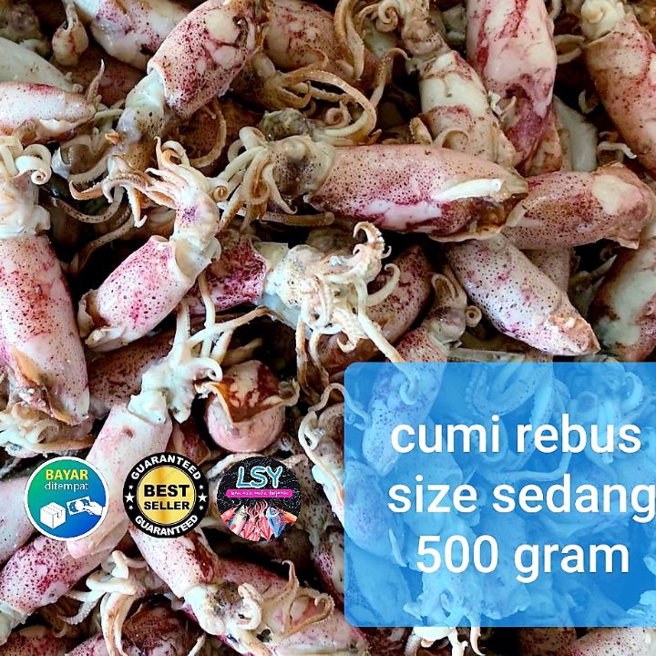 

Terbaru ikan asin Cumi rebus sotong rebus size sedang 5gr