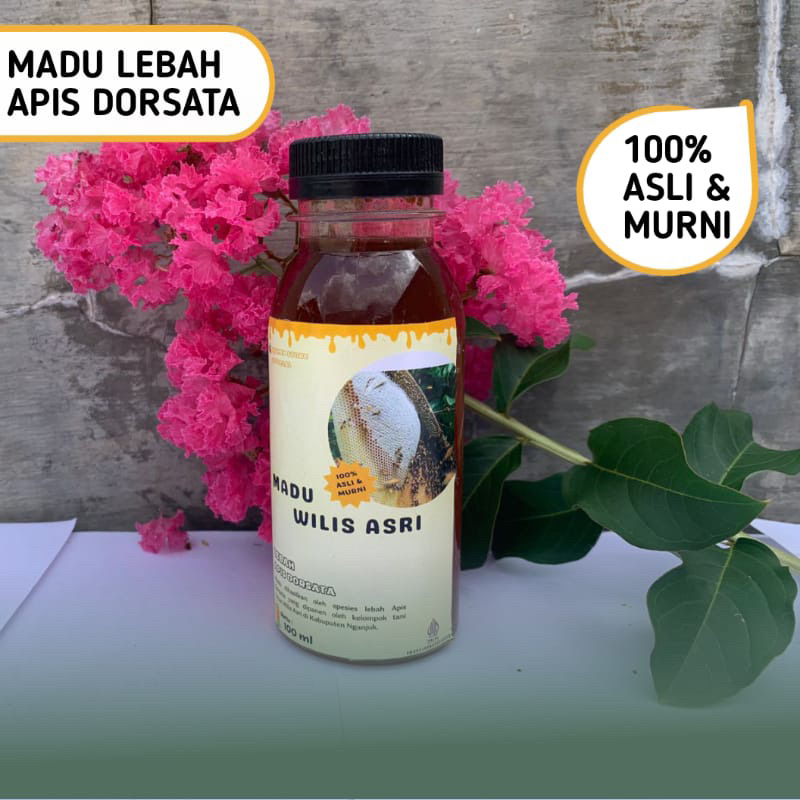 

MADU LEBAH APIS CERANA DAN APIS DORSATA ISI 100ML