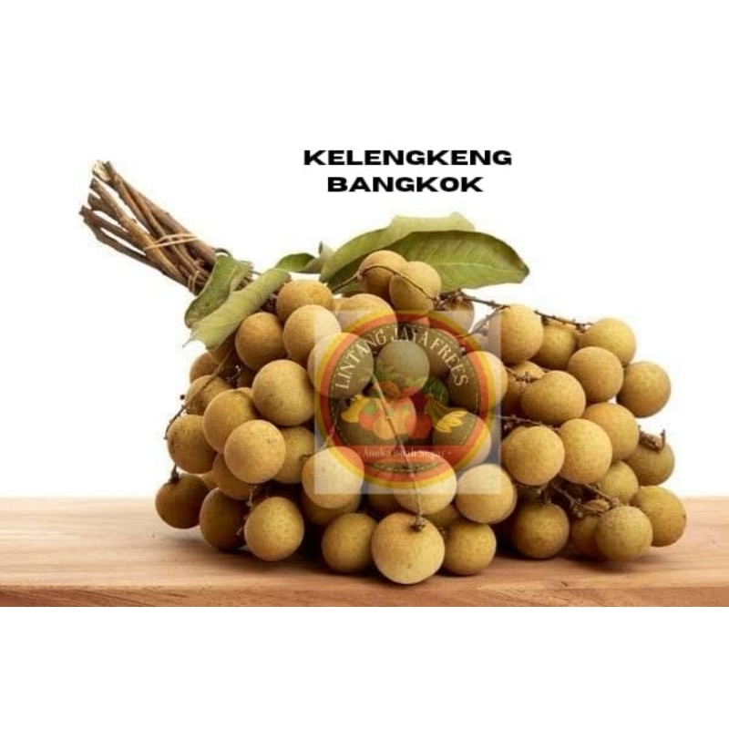 

Kelengkeng Bangkok Tebal super manis 1kg