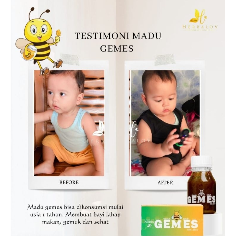 

Madu GEMES (Gemuk sehat) Herbalov