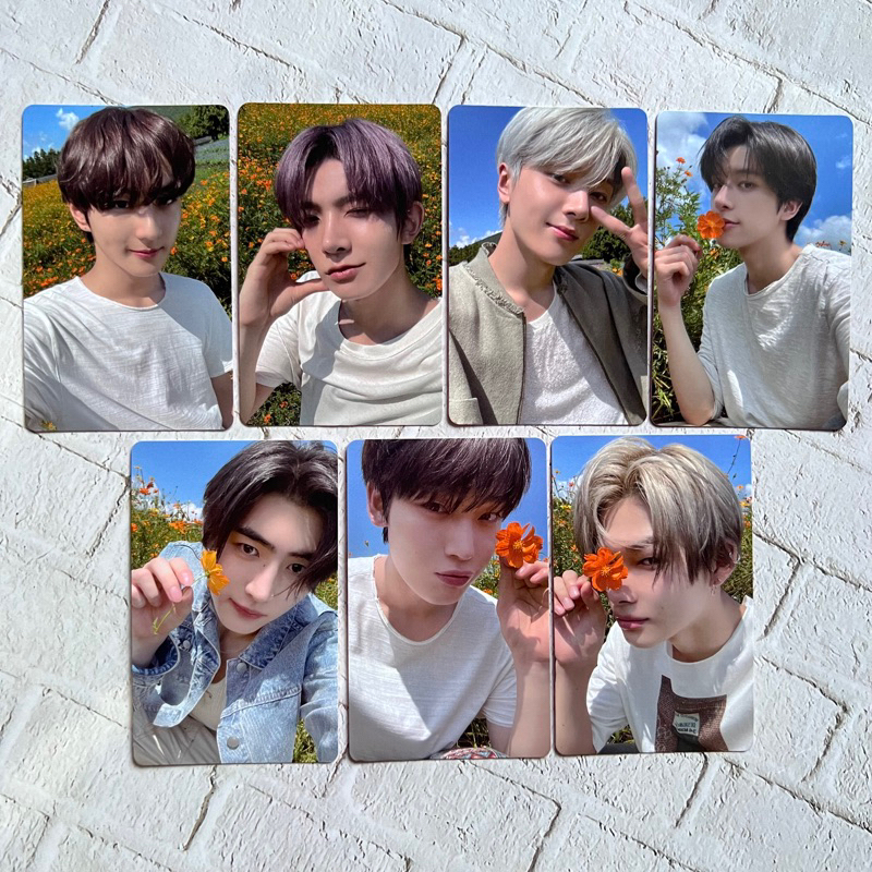 [READY STOCK] OFFICIAL PHOTOCARD ENHYPEN SHOWCASE COMEBACK LIVE ENGENE VER ORANGE BLOOD JUNGWON HEES