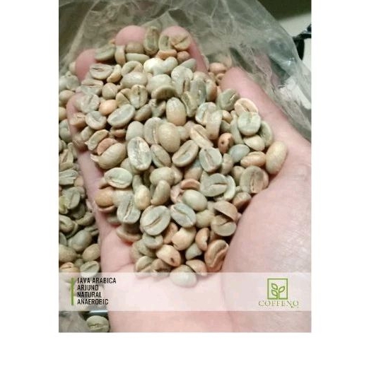 

Greenbean Java Arabica Arjuno Natural Anaerobic 1Kg