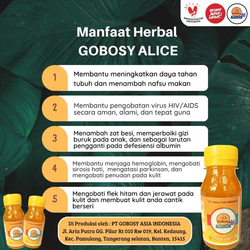 Gobosy alice 4botol
