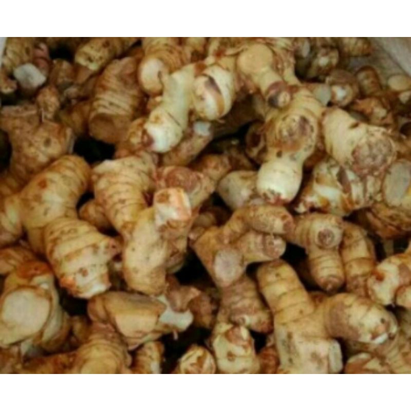 lengkuas 1 kg