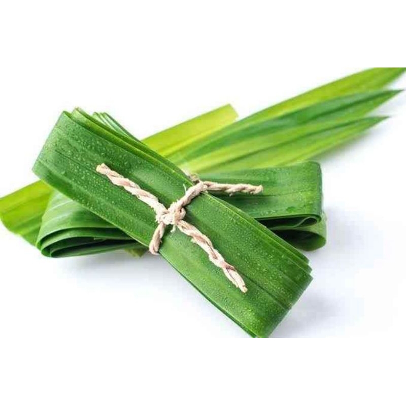 

Daun Pandan Wangi Segar per ikat ( 10 Lembar )