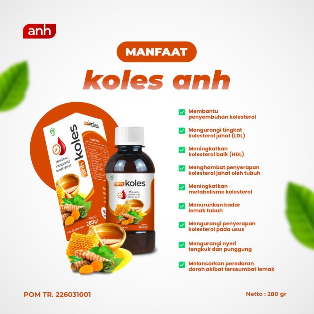 

Madu ANH Koles / Madu menurunkan lemak darah / Obat Kolestrol / 280gr : POM TR.226031001