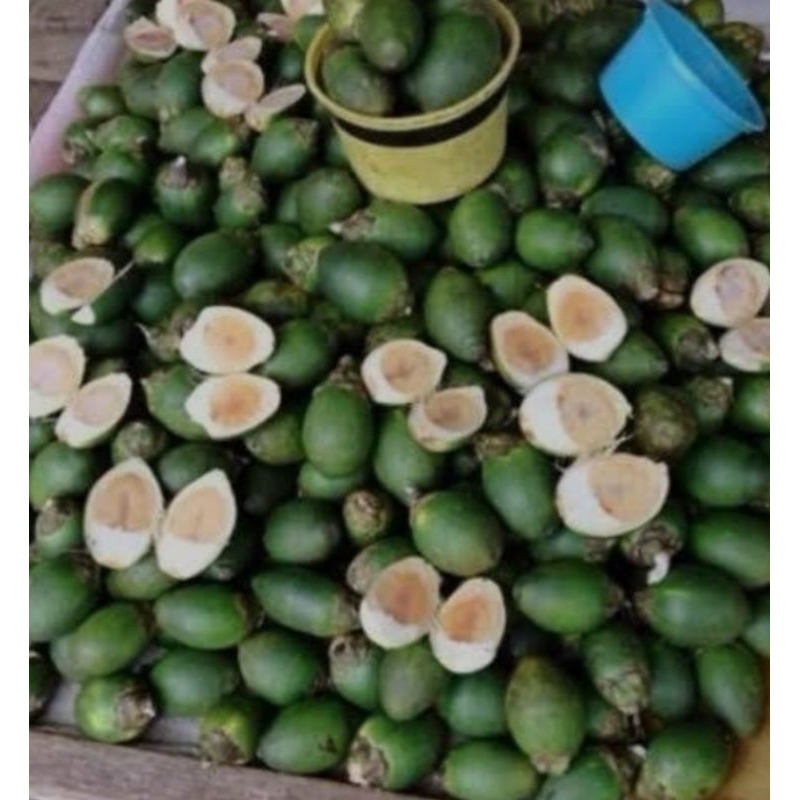 

Pinang Iris Kering 1 KG/Buah Pinang iris Koin kering