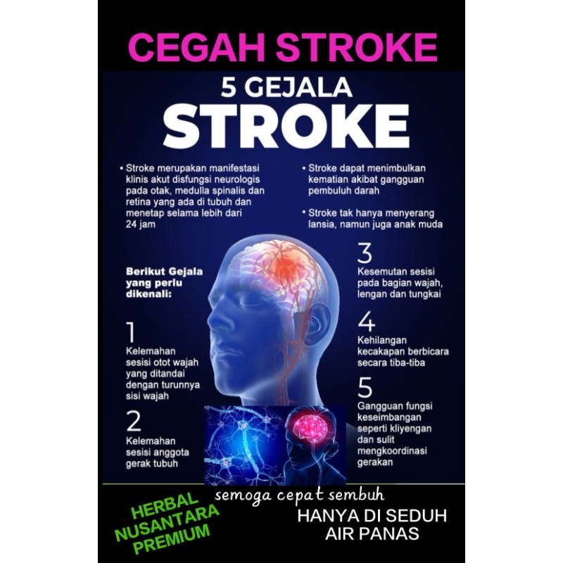 

Stroke, Ampuh mengatasi serangan Stroke.untuk 6Gelas lsg Seduh