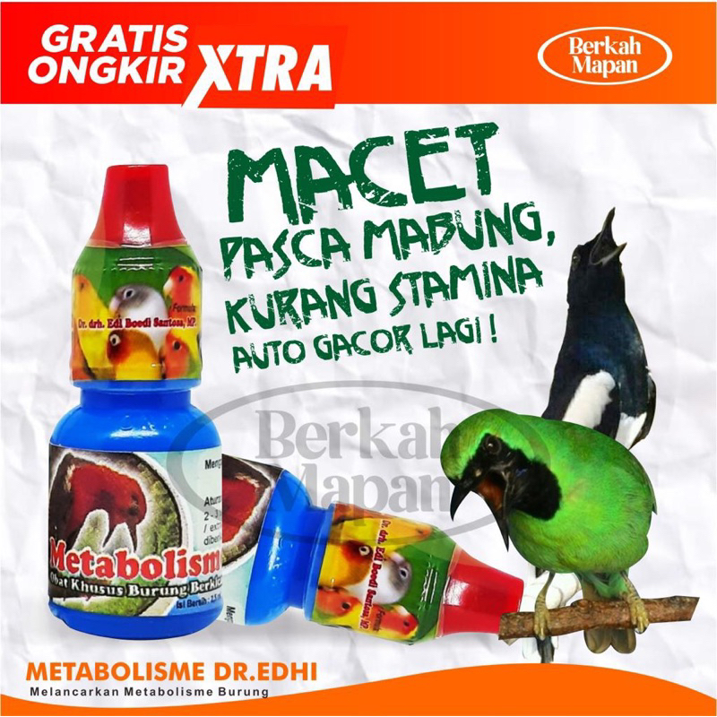 Metabolis Metabolisme Burung Pleci Murai Batu Kenari Dr edi