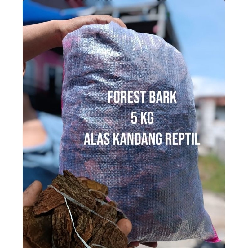 Forest bark 5 kg alas kandang reptil alas kandang kura kura biawak salva iguana savmon dll