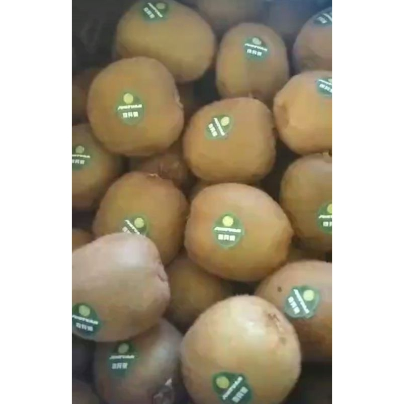 

greenkiwi