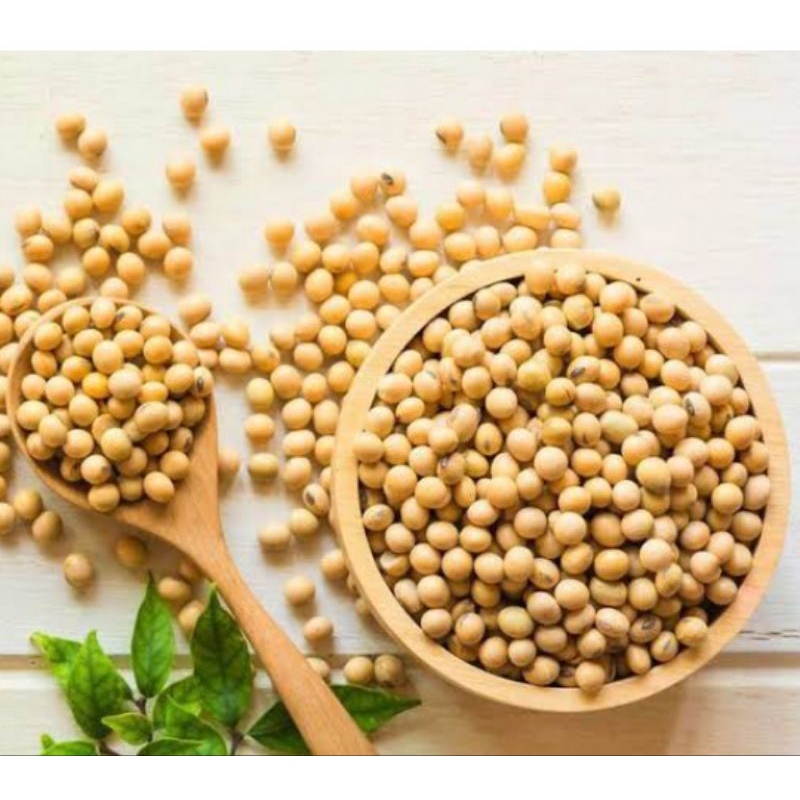 

Kacang kedelai 500g kualitas super