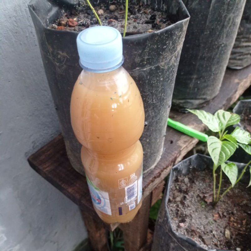 

Air lindi Full fermentasi buah bukan sampah dapur 600ml