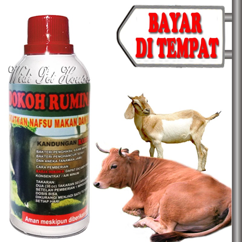 Vitamin Sapi Penggemuk Ternak Kerbau Kambing Kuda Domba Raja Dokoh
