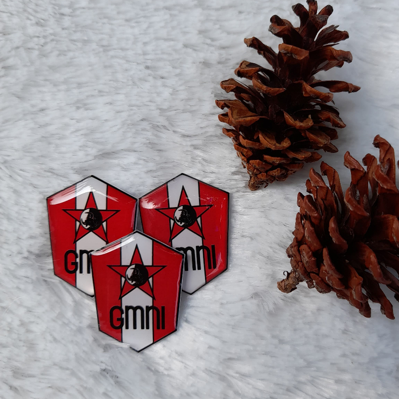 PIN GMNI / PIN RESIN GMNI / PIN CUSTOM