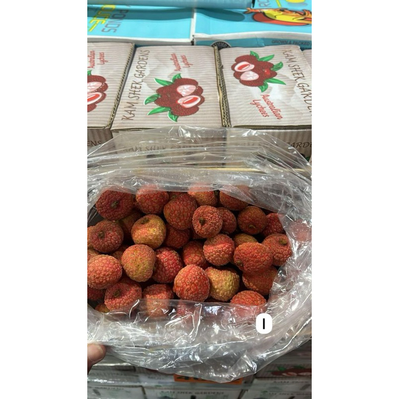 

AUSTRALIAN LYCHEE HIGH QUALITY