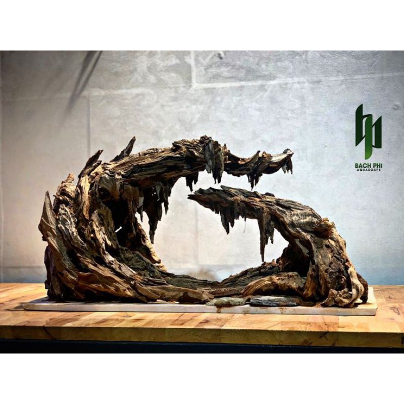 HARDSCAPE AQUARIUM AQUASCAPE XYTON AQUARIUM AQUASCAPE ELEGAN AQUARIUM AQUASCAPE HARDSCAPE