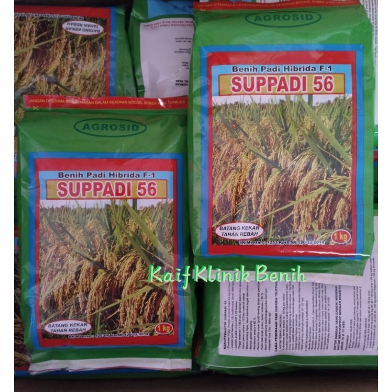 Benih Padi Hibrida F1 SUPPADI 56 1Kg - Benih Agrosid