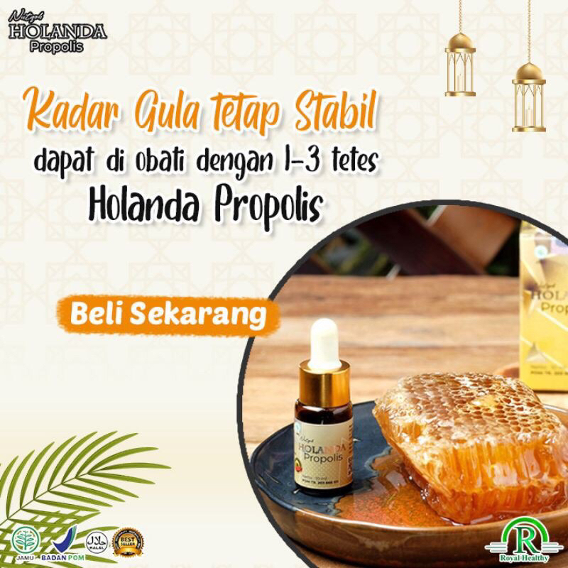 HOLANDA PROPOLIS ® Holanda Propolis Original Untuk Jantung | Holanda Propolis Asli Untuk Hipertensi