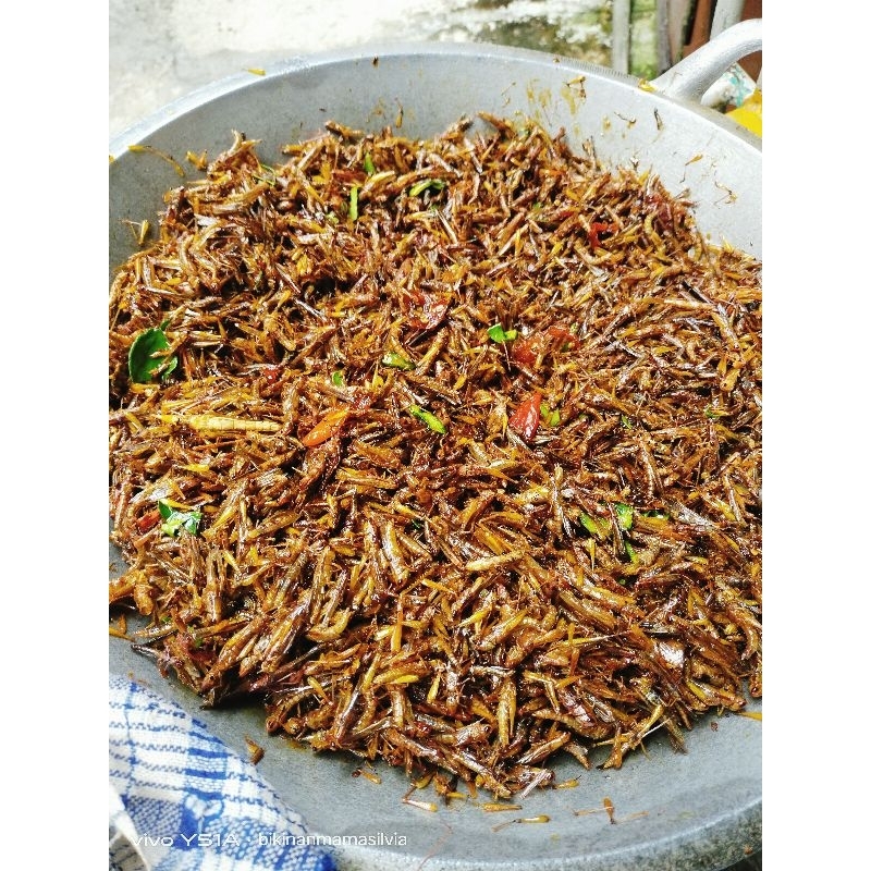 

Walang Belalang goreng Utis 1 Paket dapat 3 Pack, bisa Mixs Rasa Gurih, Pedas Gurih, Pedas manis