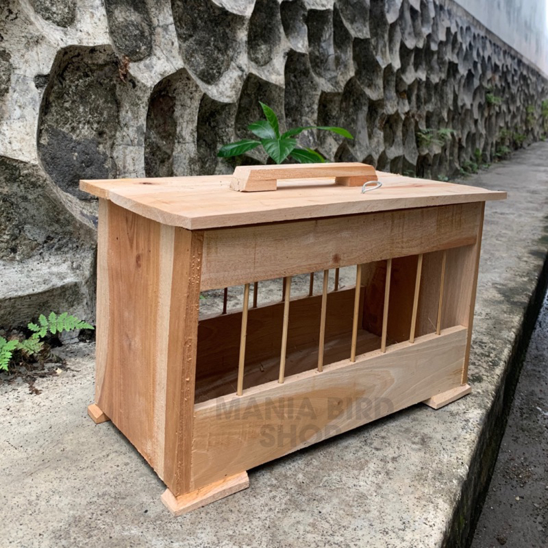 Tempat Wadah Pakan Merpati & Ayam Koloni Umbar